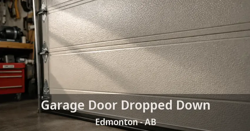 Garage Door Dropped Down Edmonton - AB